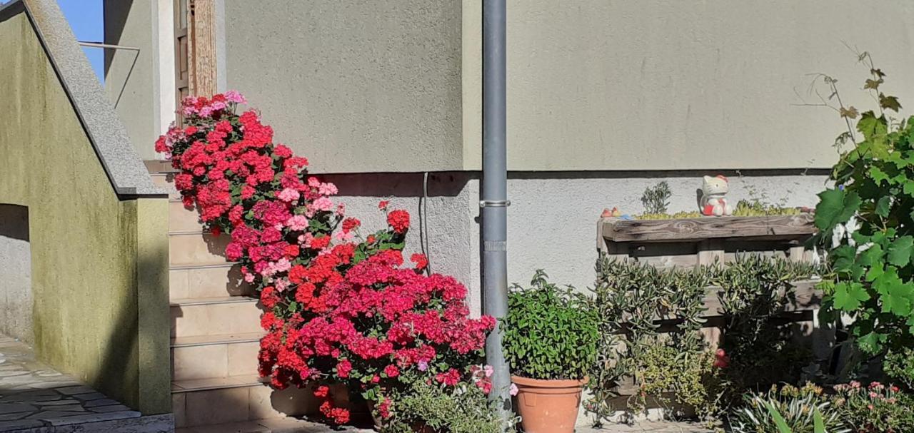 Appartamento Kelk Loznati Esterno foto