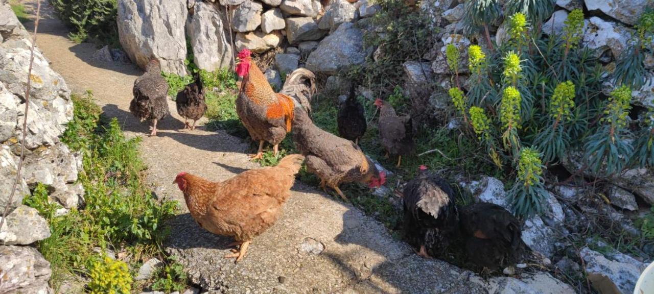 Appartamento Kelk Loznati Esterno foto